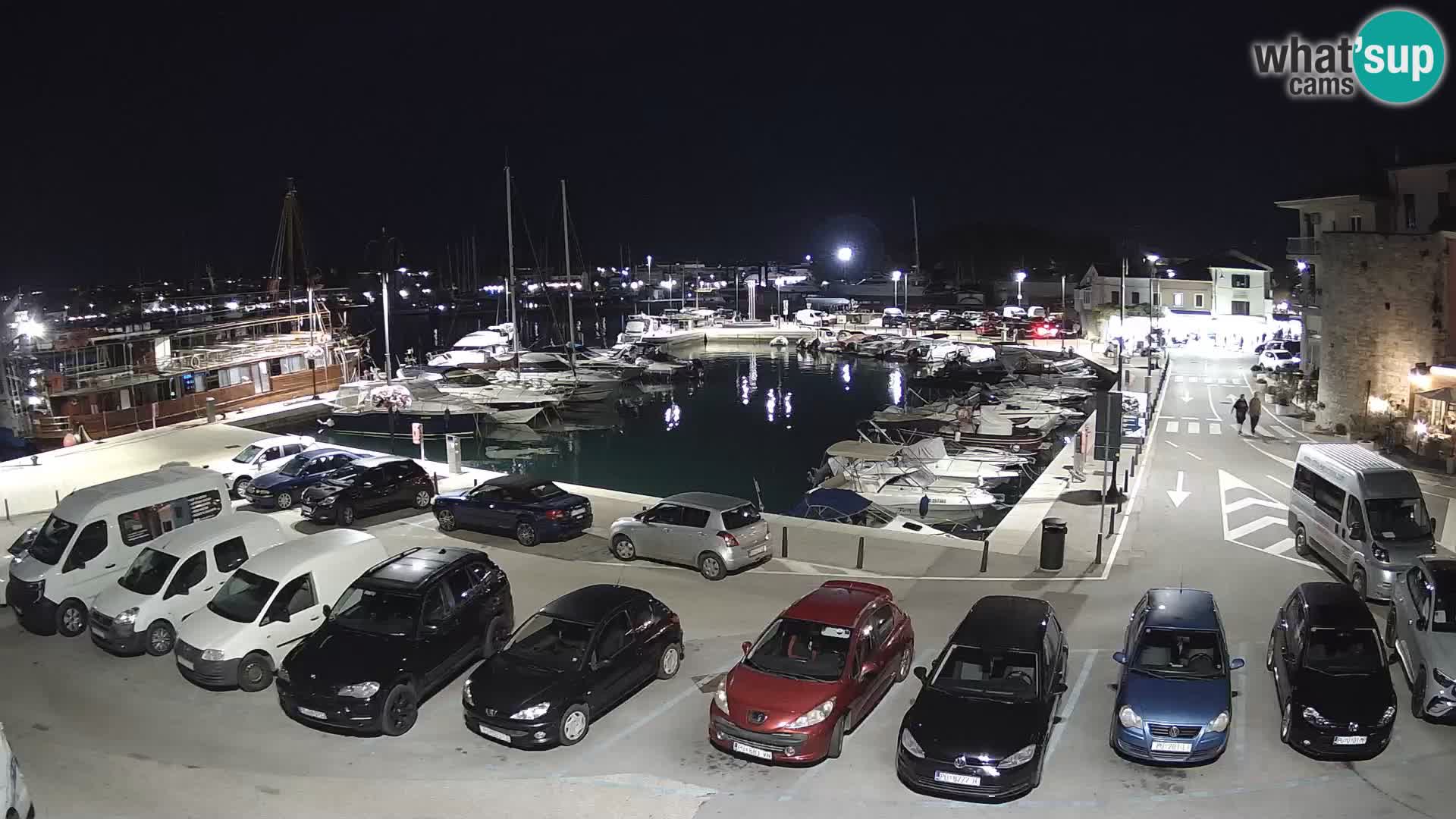Novigrad | Porporela marina