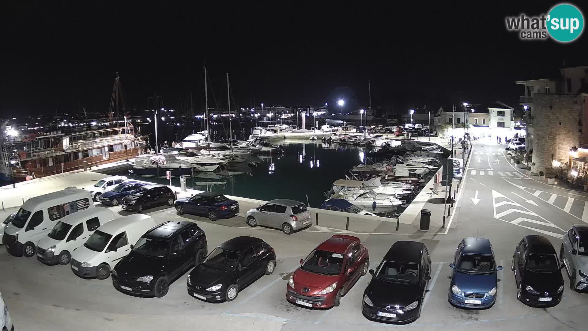 Novigrad | Porporela marina