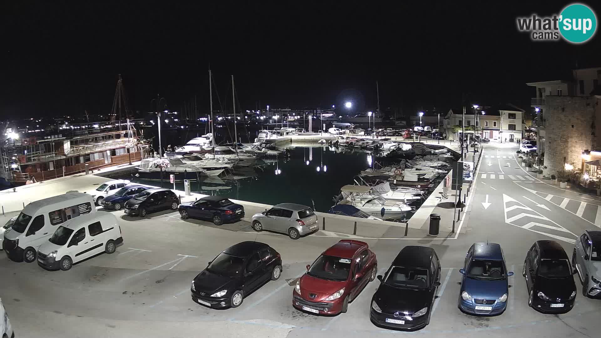 Novigrad | Porporela marina
