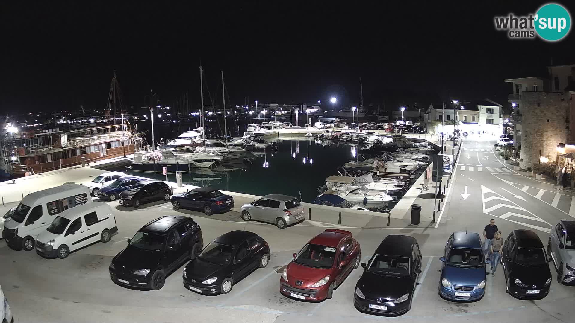 Novigrad | Porporela marina