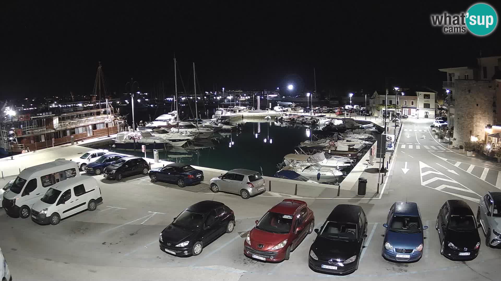 Novigrad | Porporela marina