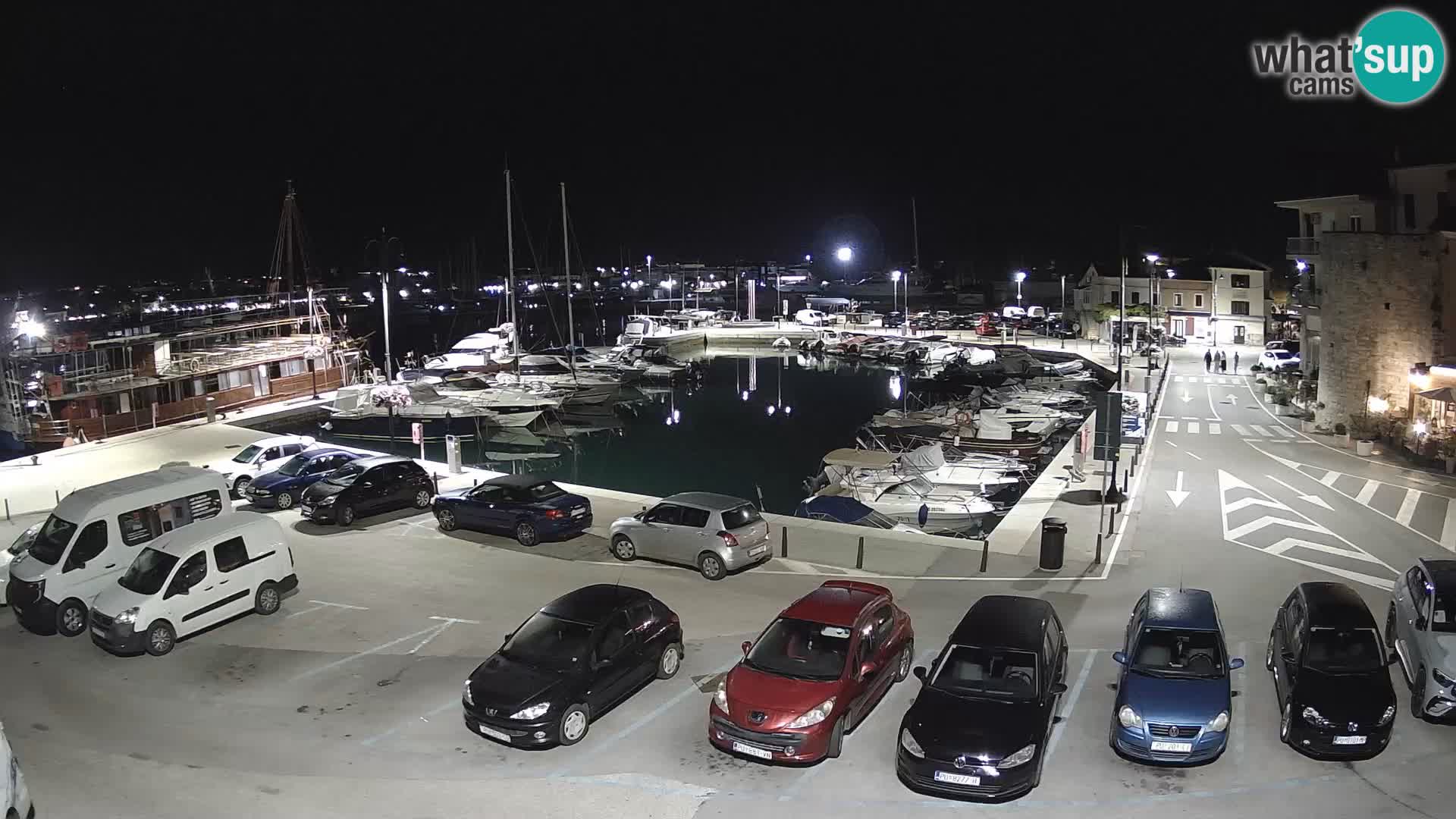 Novigrad | Porporela marina