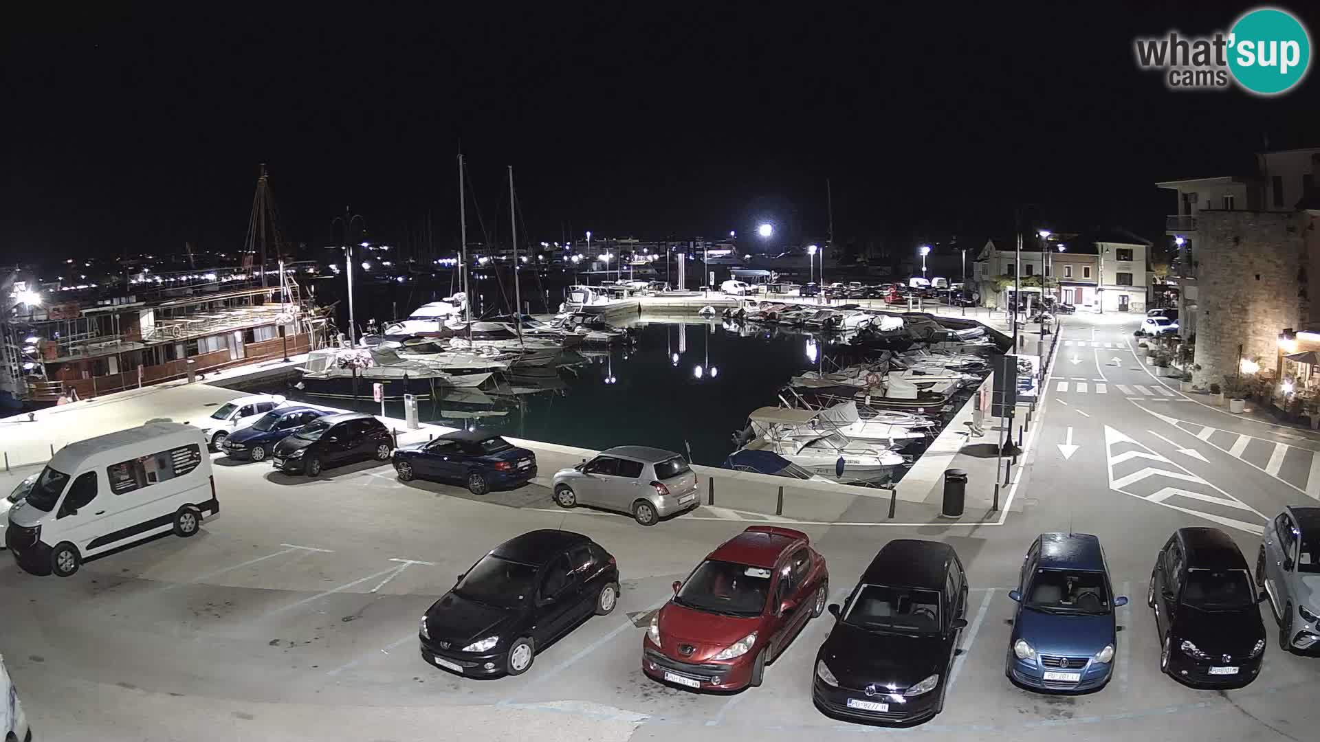 Novigrad | Porporela marina
