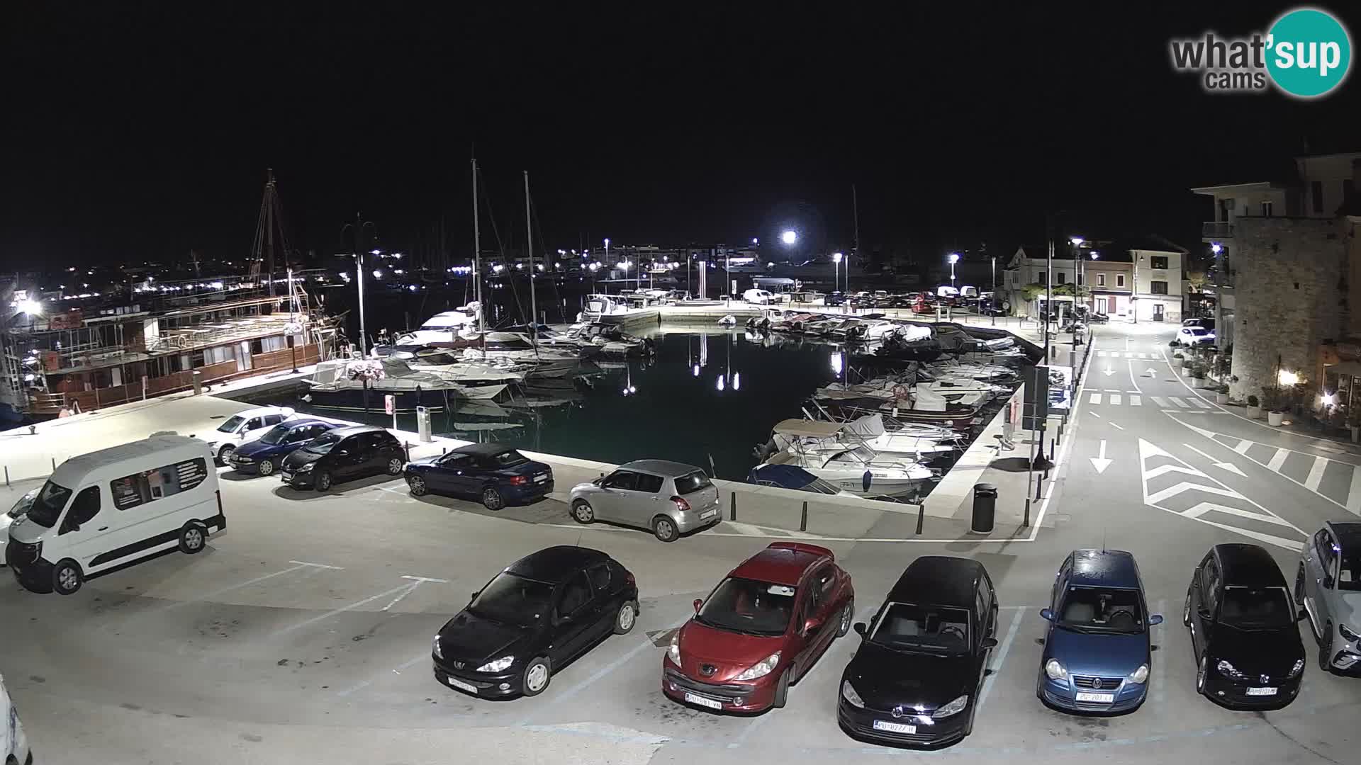 Novigrad | Porporela marina