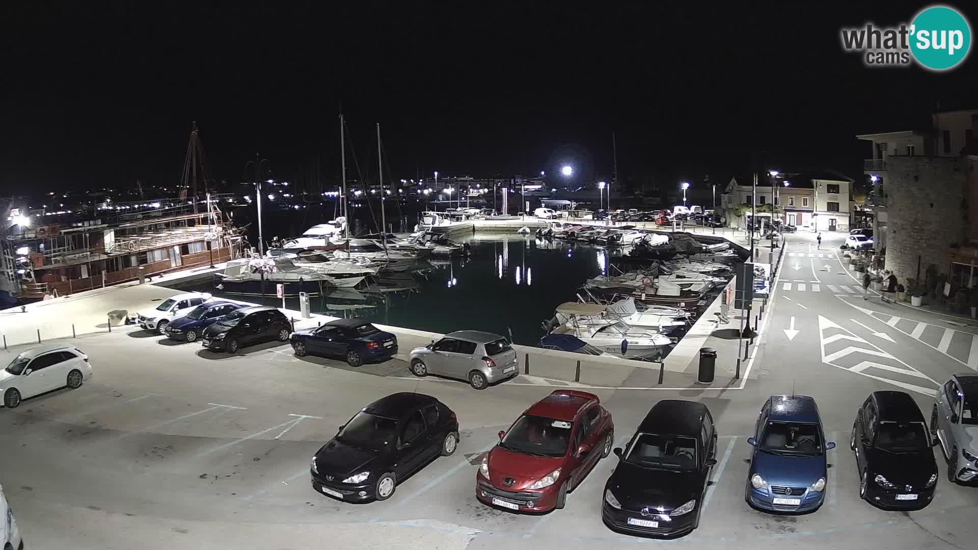 Novigrad | Porporela marina
