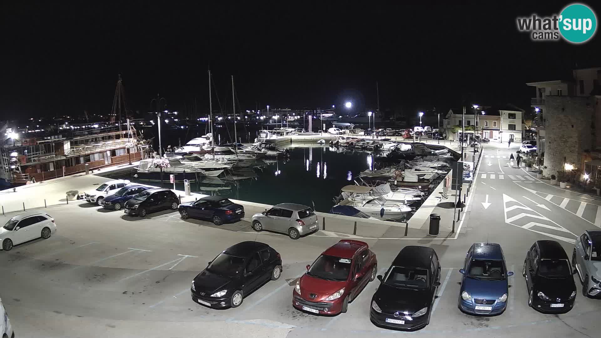 Novigrad | Porporela marina