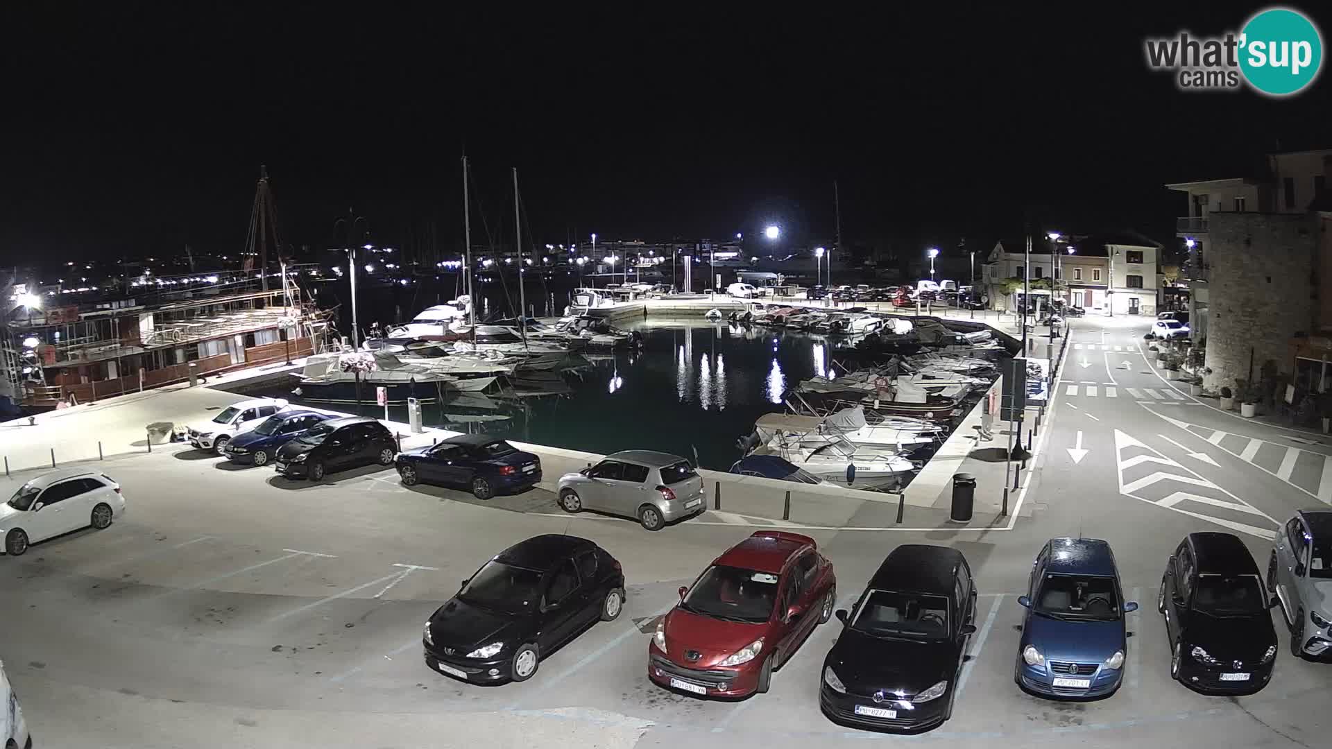 Novigrad | Porporela marina
