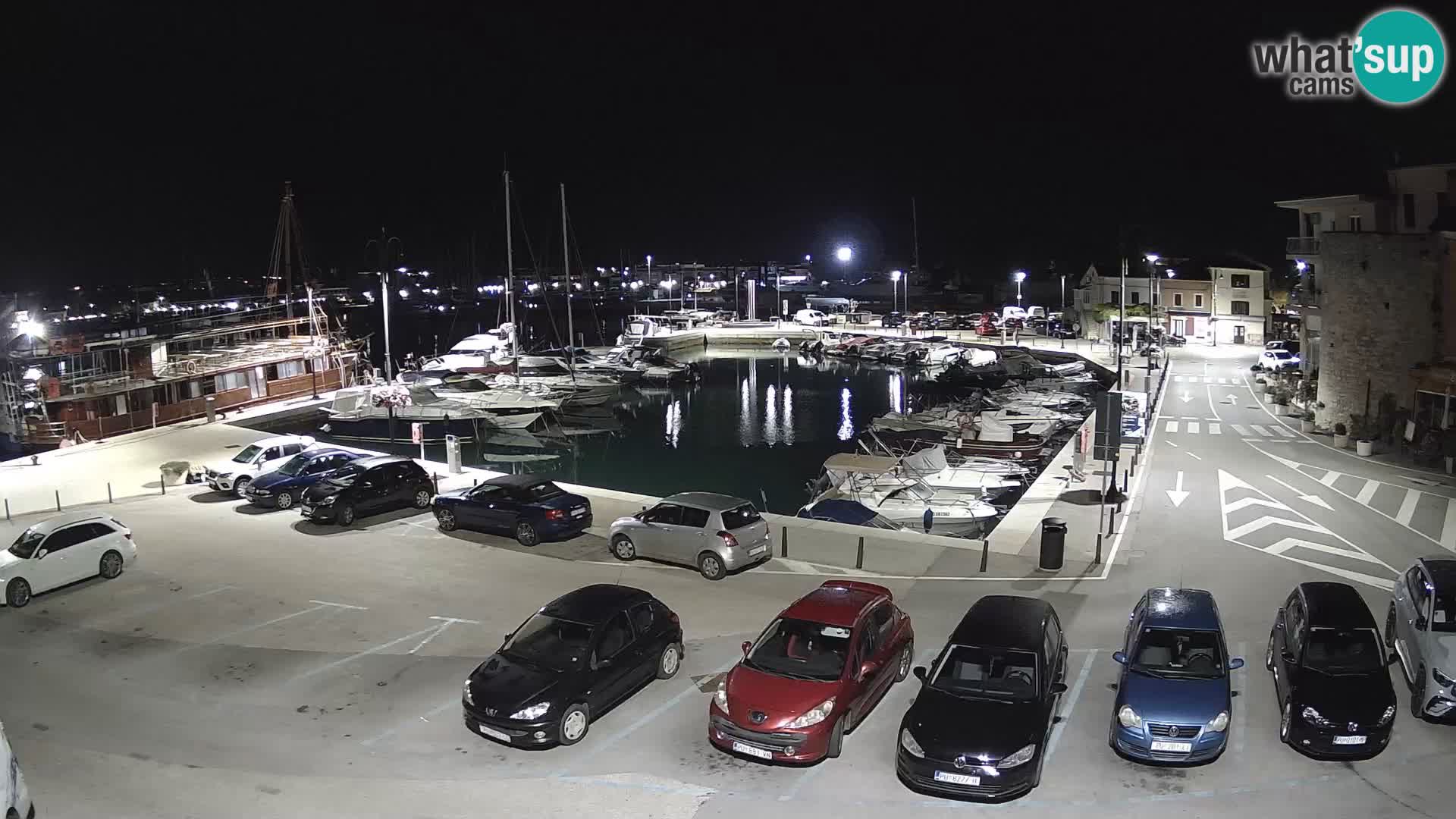 Novigrad | Porporela marina