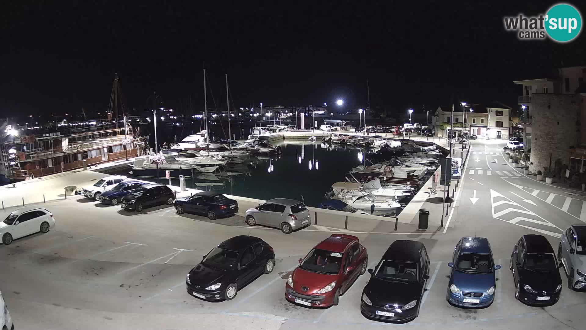 Novigrad | Porporela marina