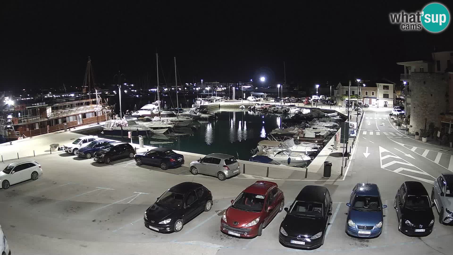 Novigrad | Porporela marina