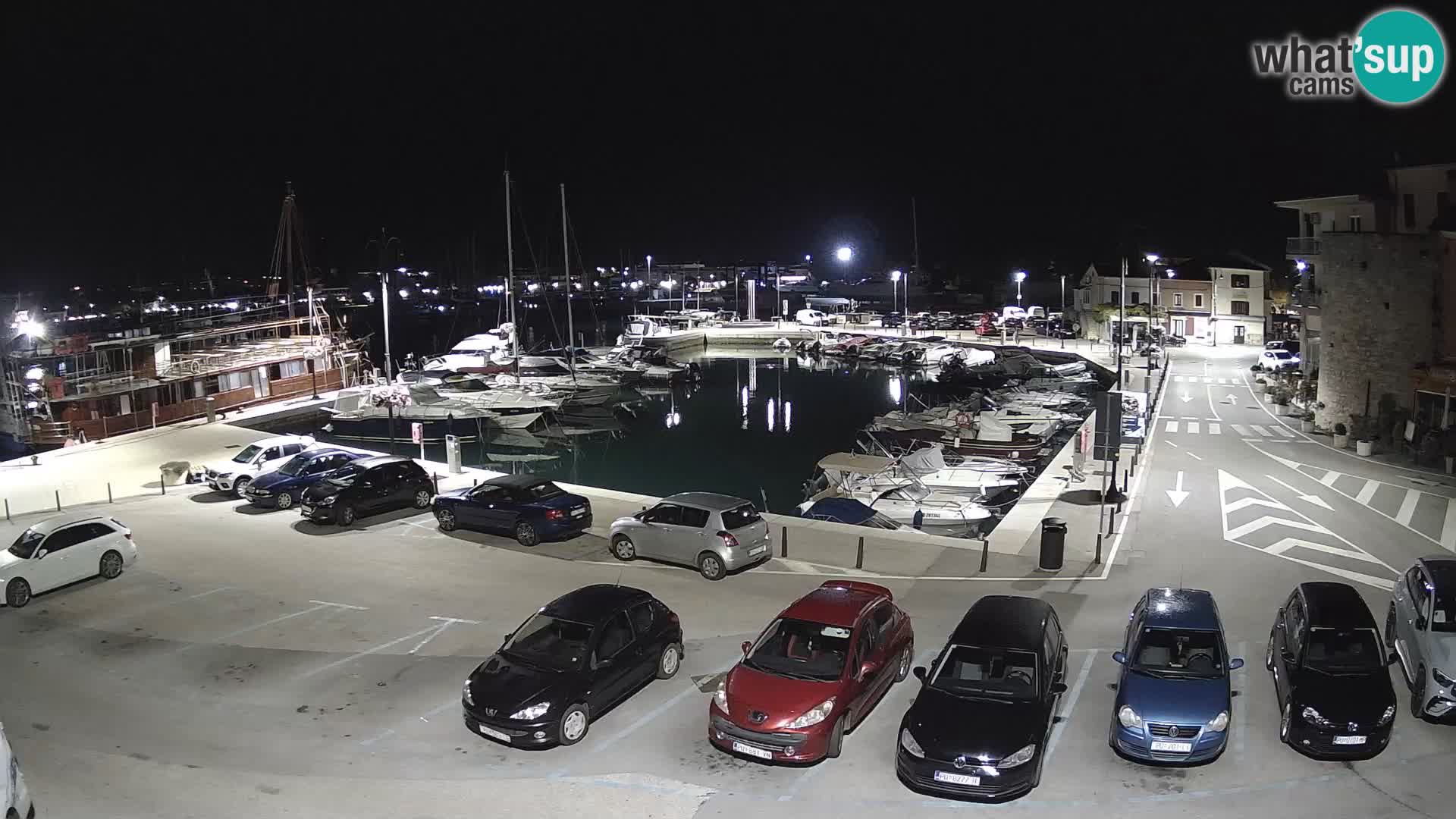 Novigrad | Porporela marina