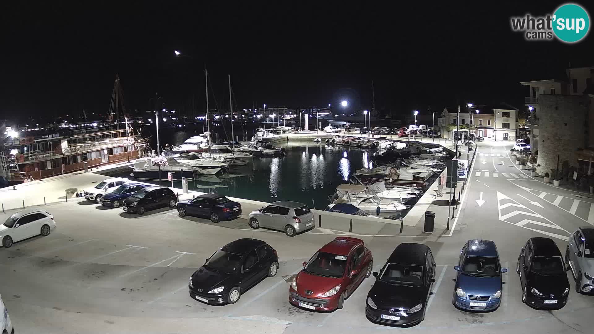 Novigrad | Porporela marina