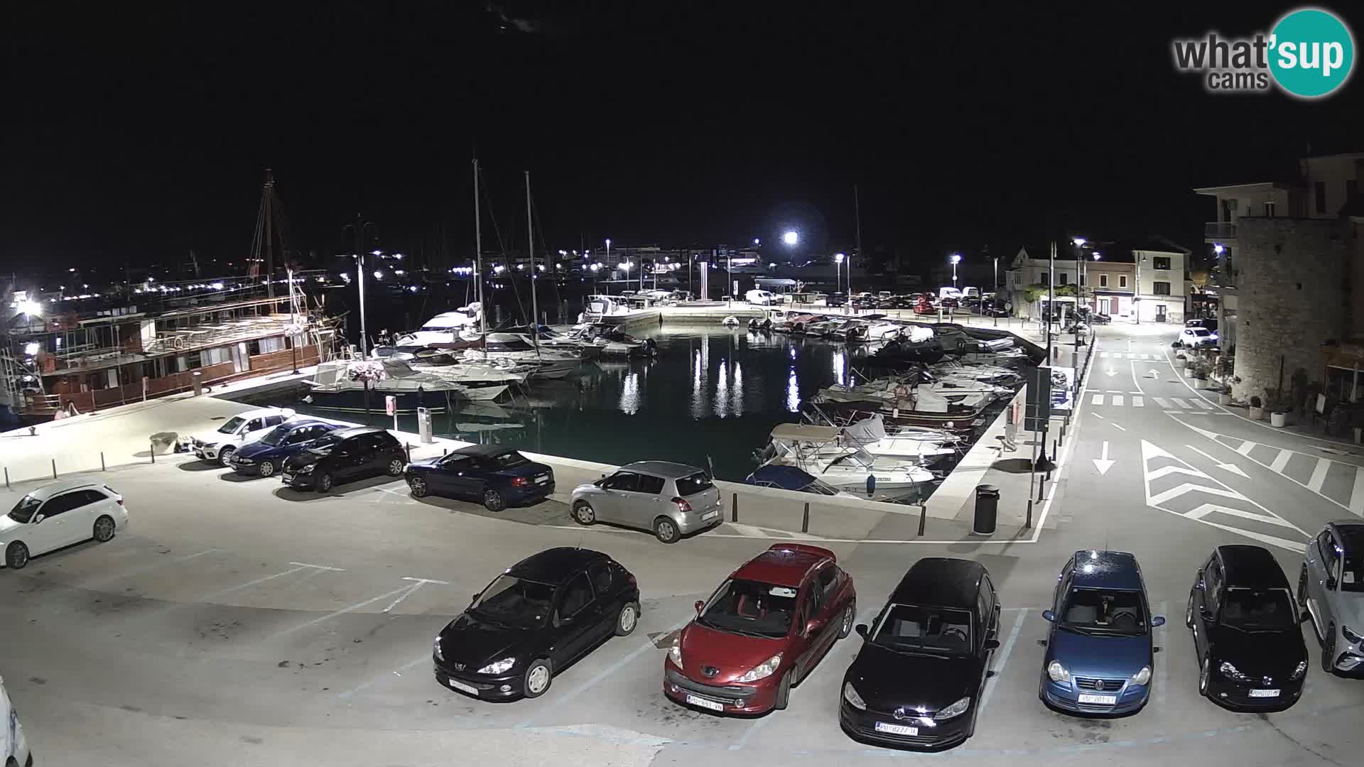 Novigrad | Porporela marina