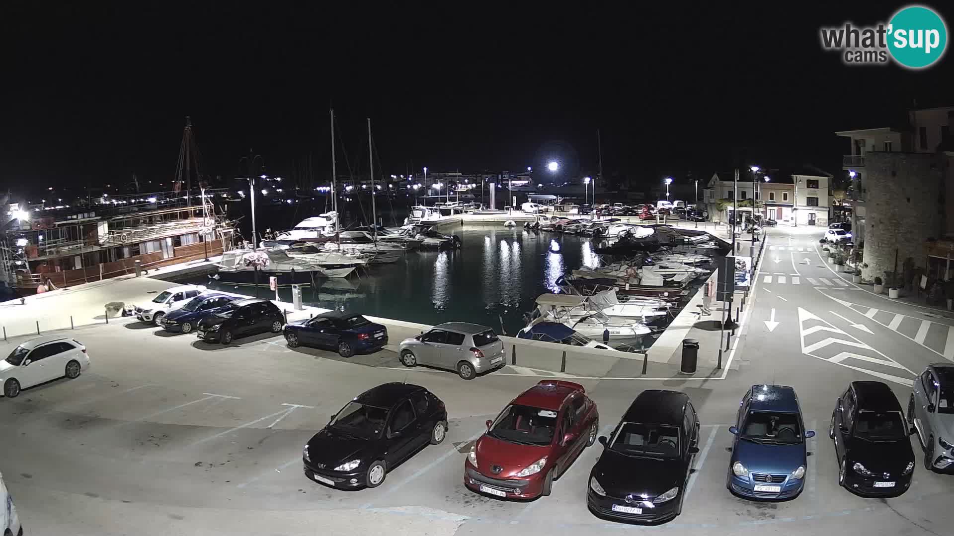 Novigrad | Porporela marina