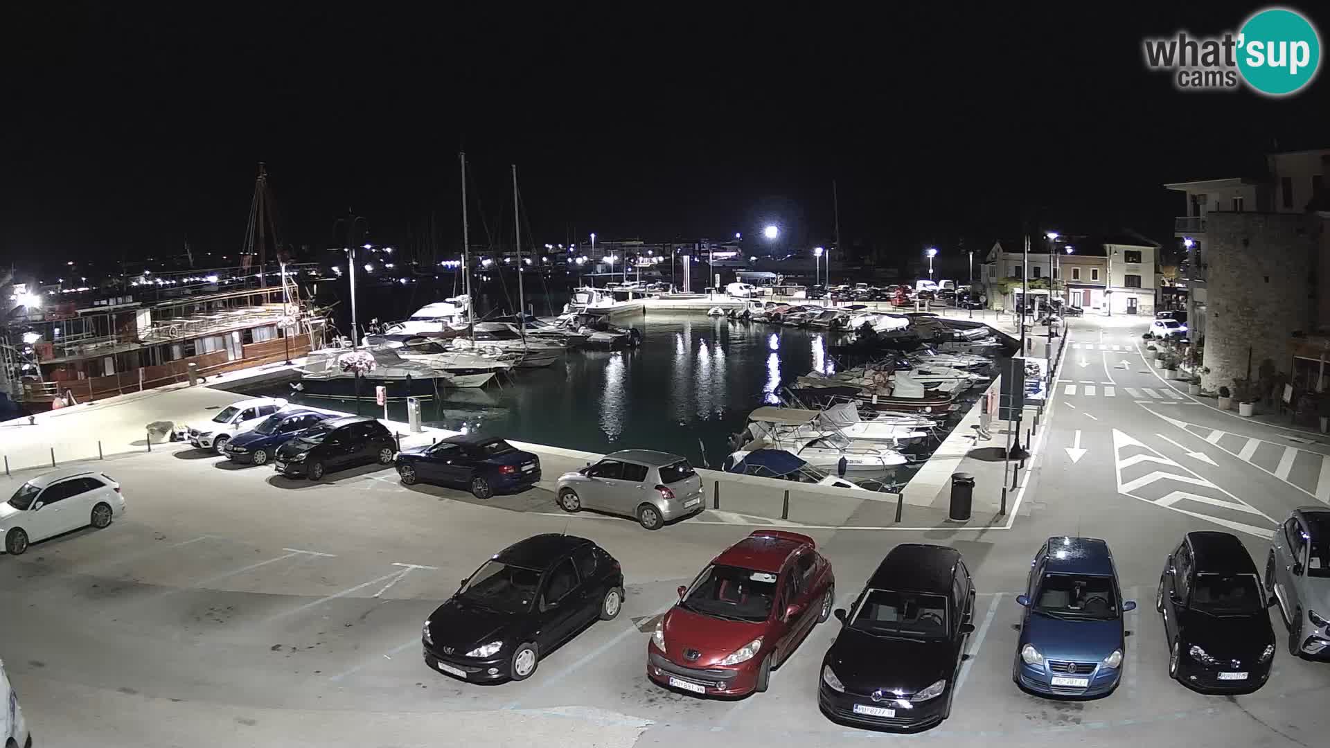 Novigrad | Porporela marina