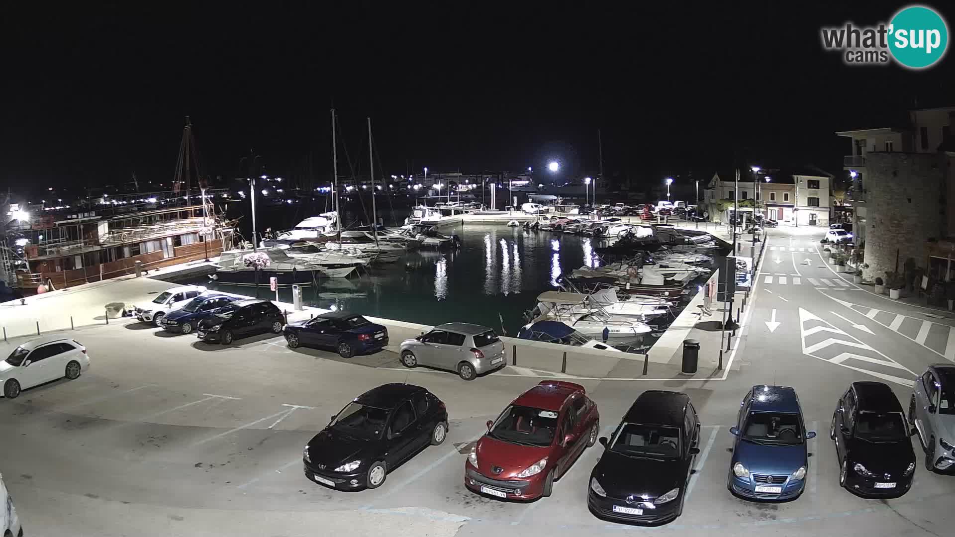 Novigrad | Porporela marina