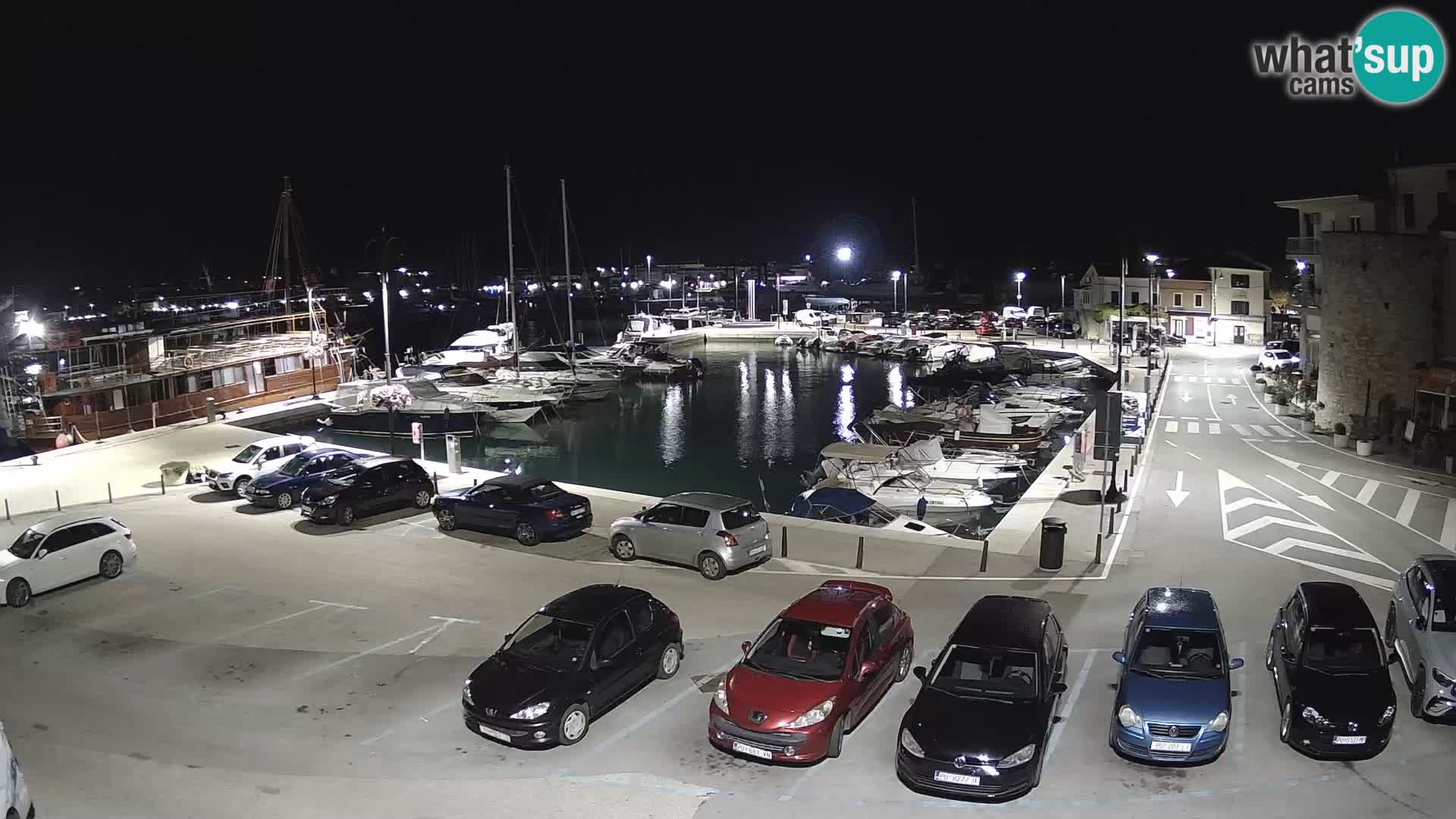 Novigrad | Porporela marina