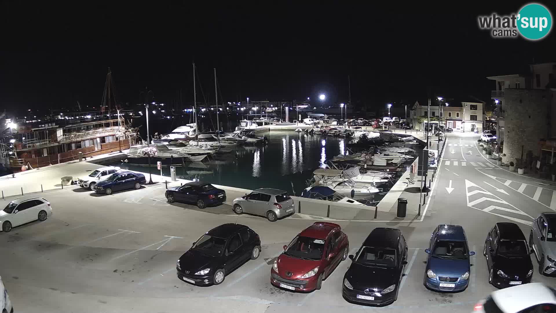 Novigrad | Porporela marina