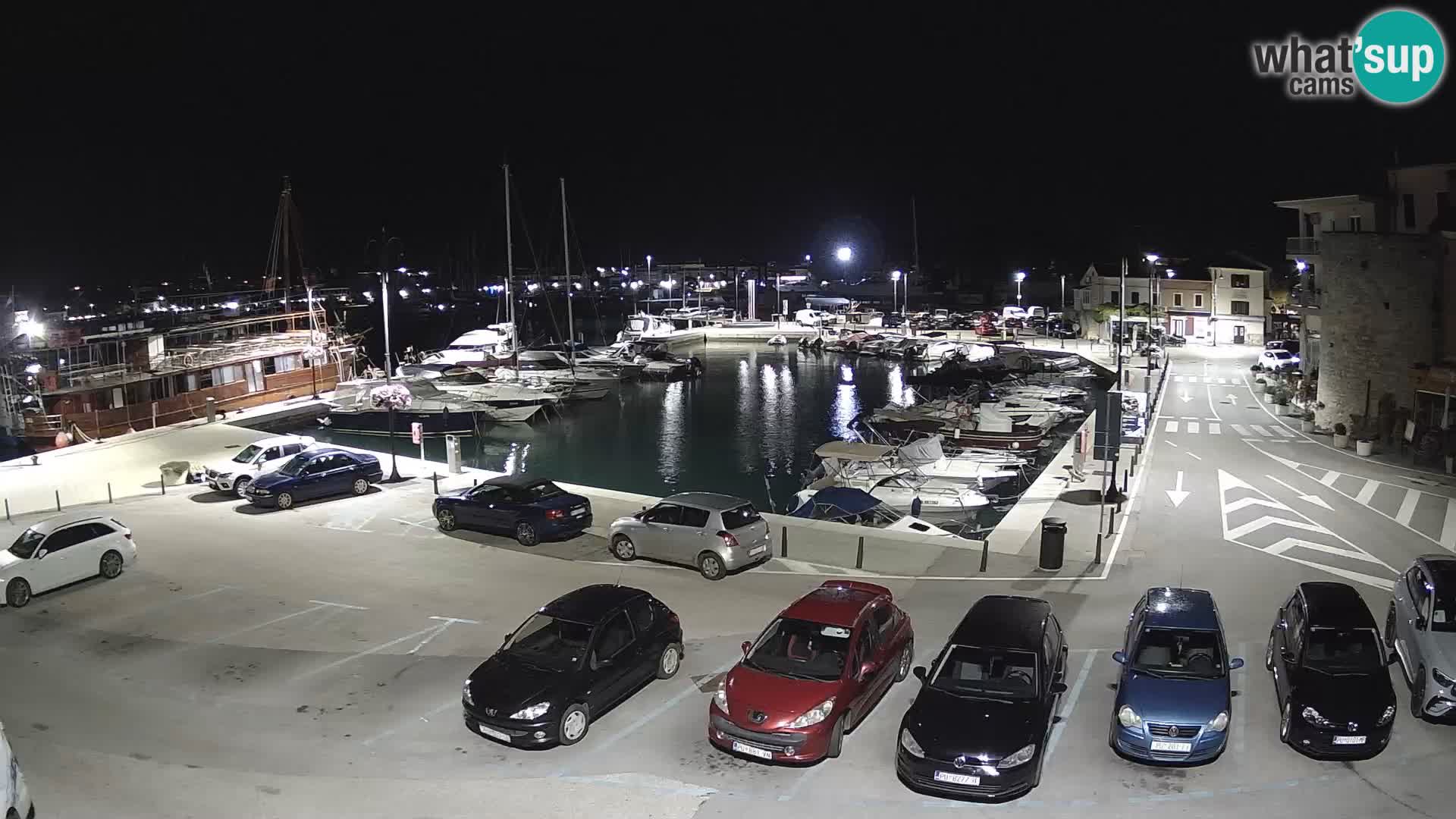 Novigrad | Porporela marina