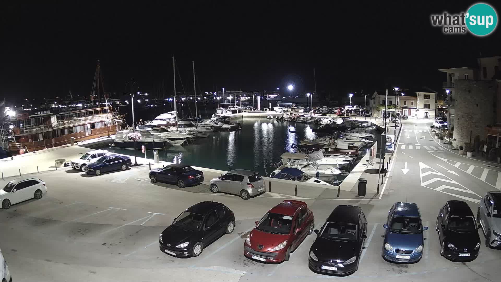 Novigrad | Porporela marina