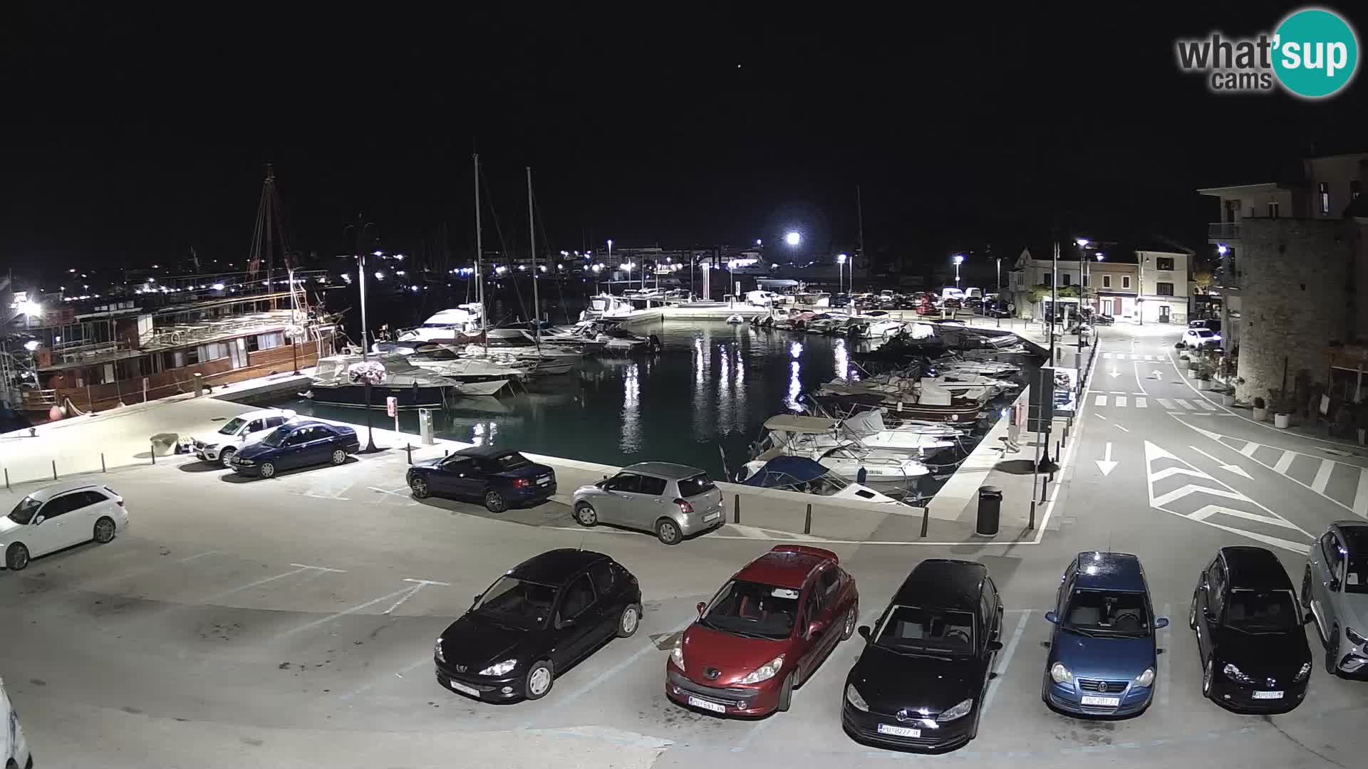Novigrad | Porporela marina