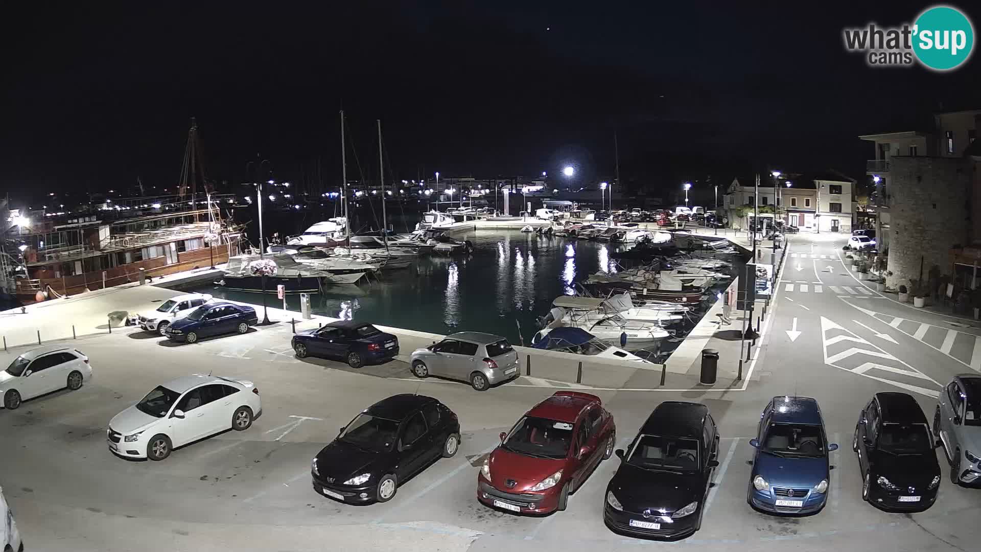 Novigrad | Porporela marina
