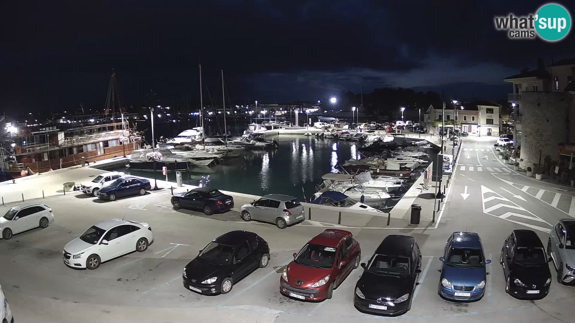 Novigrad | Porporela marina