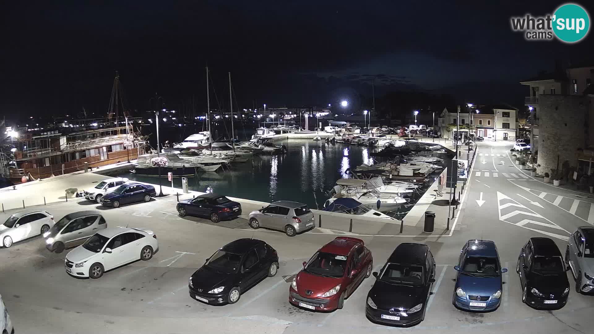 Novigrad | Porporela marina