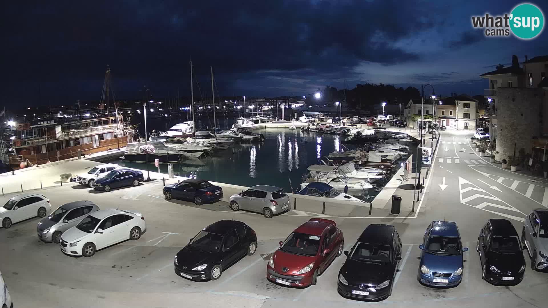 Novigrad | Porporela marina