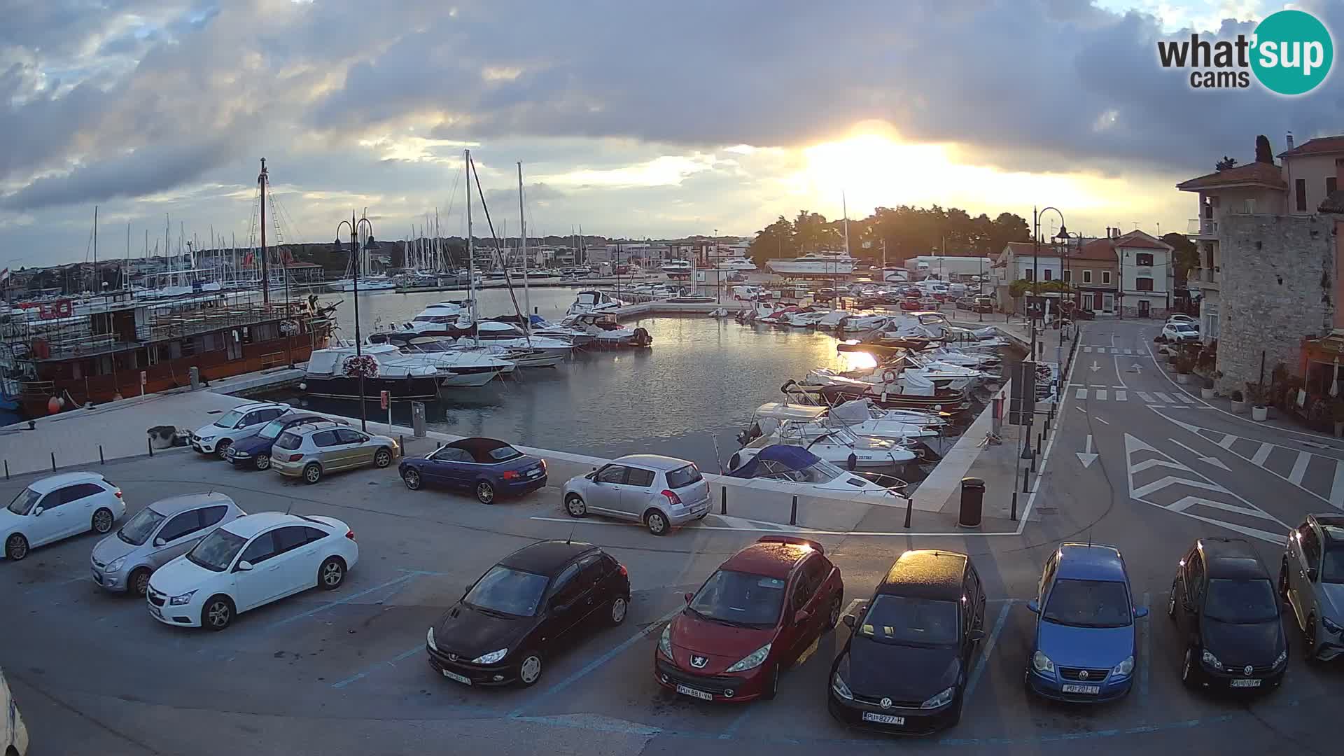 Novigrad | Porporela marina