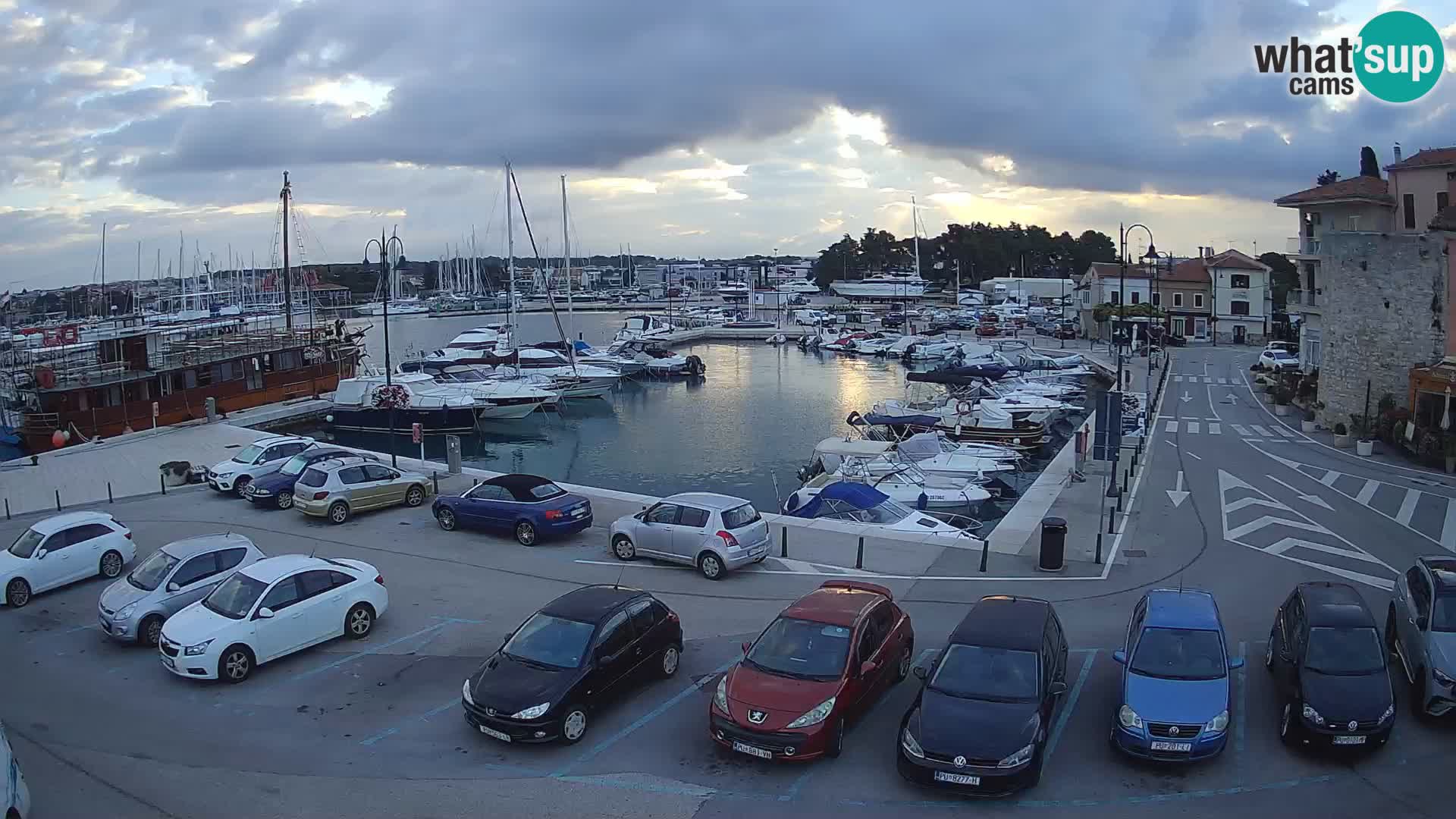 Novigrad | Porporela marina