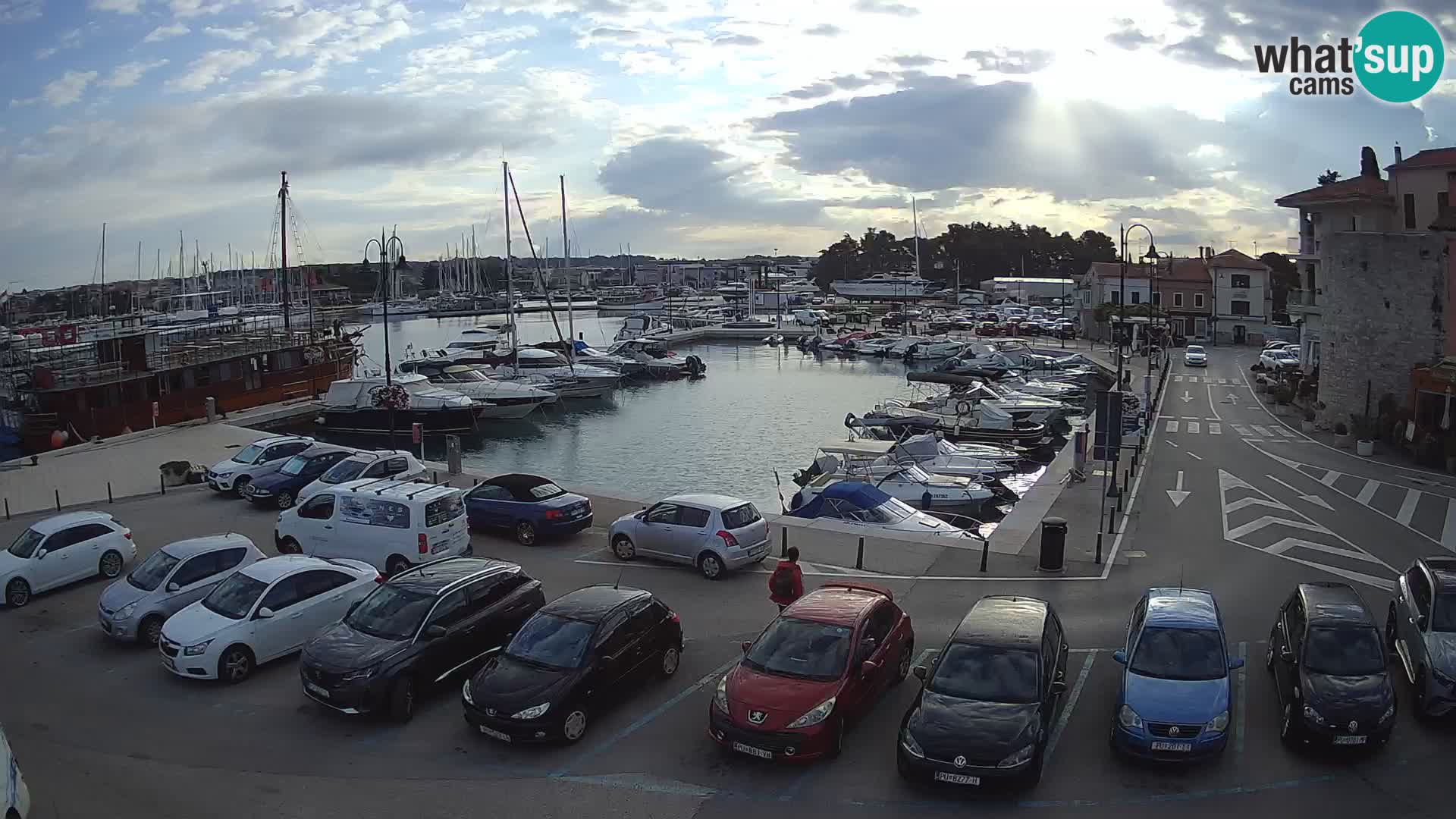 Novigrad | Porporela marina