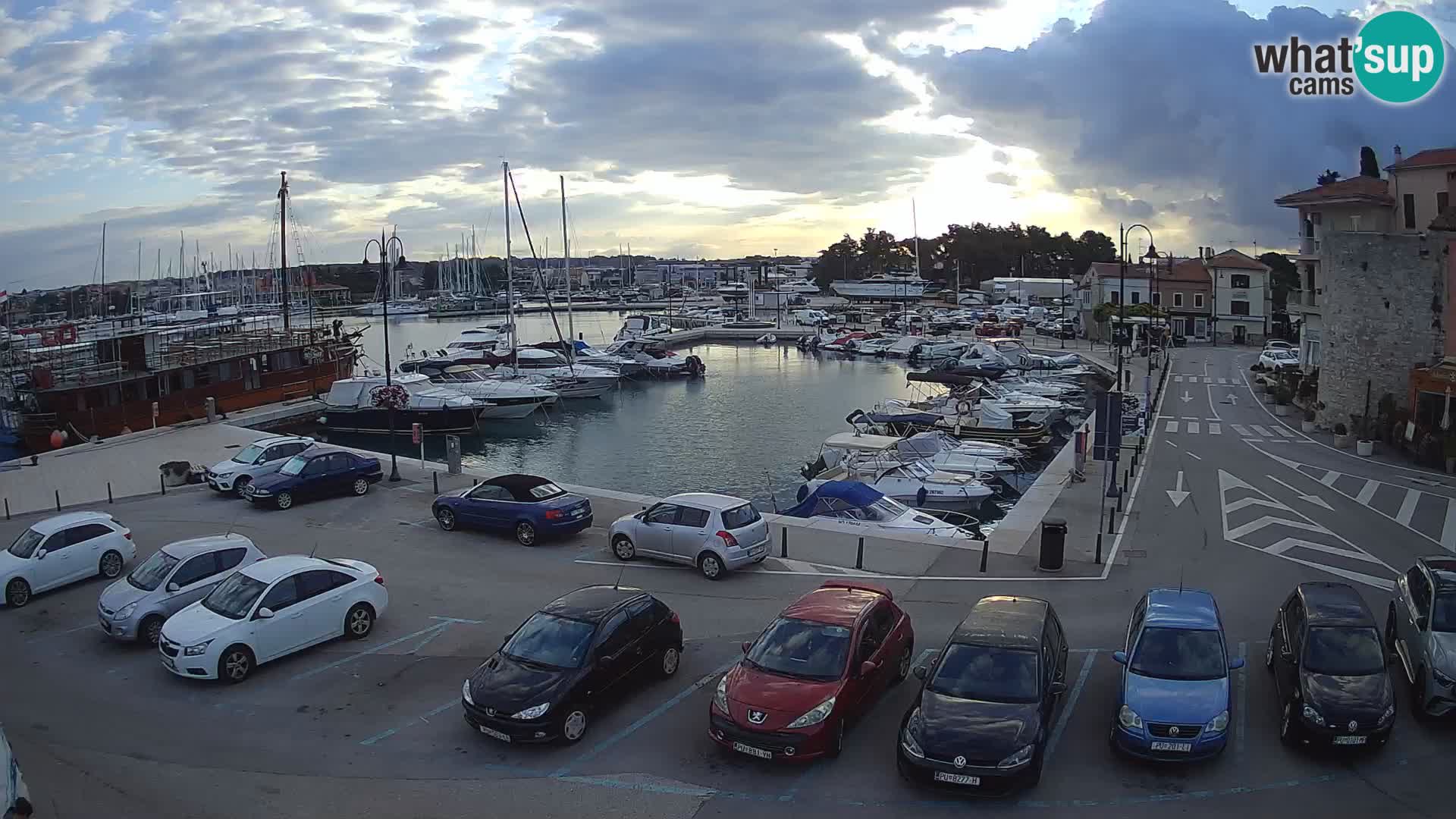 Novigrad | Porporela marina