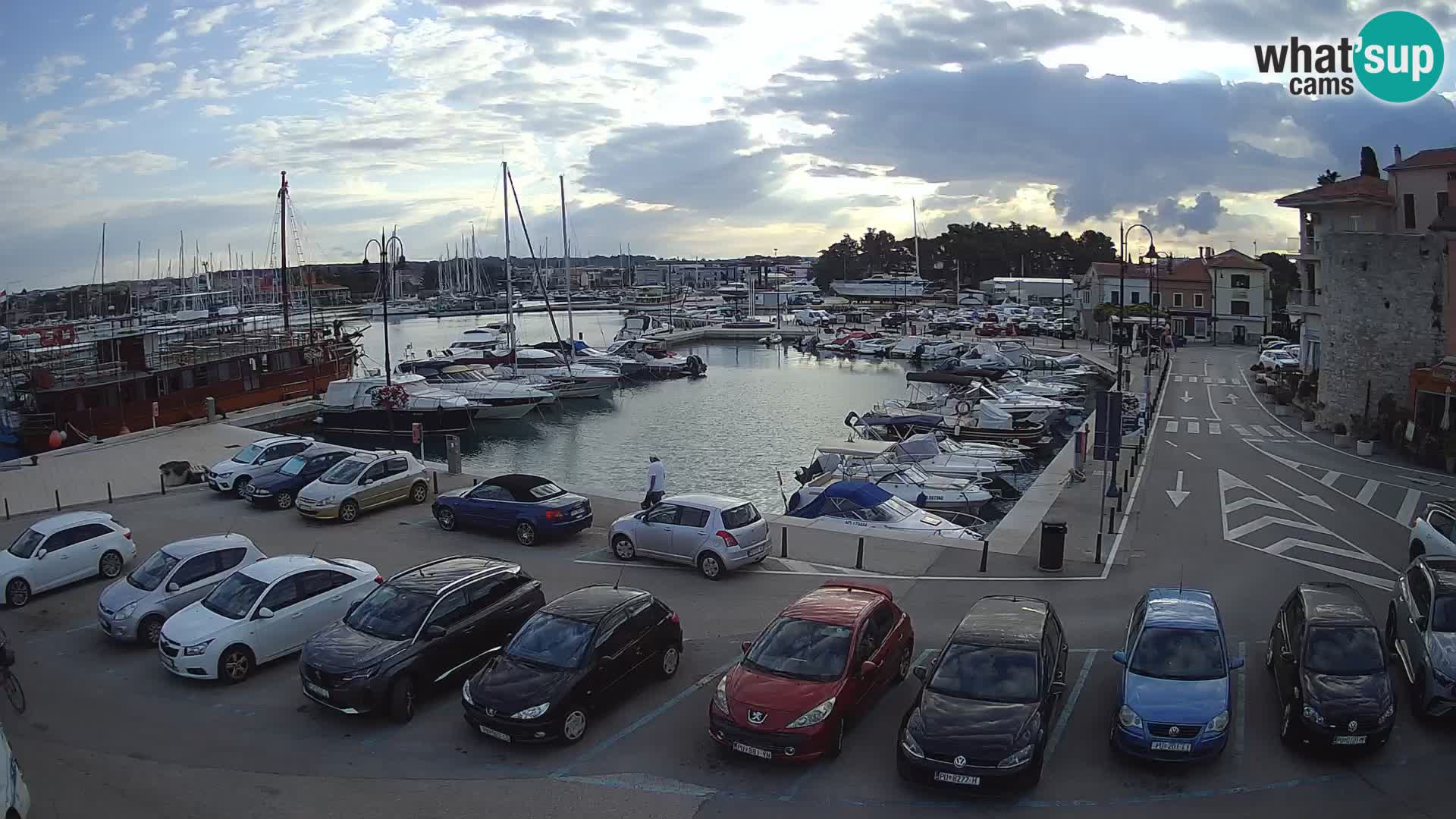 Novigrad | Porporela marina