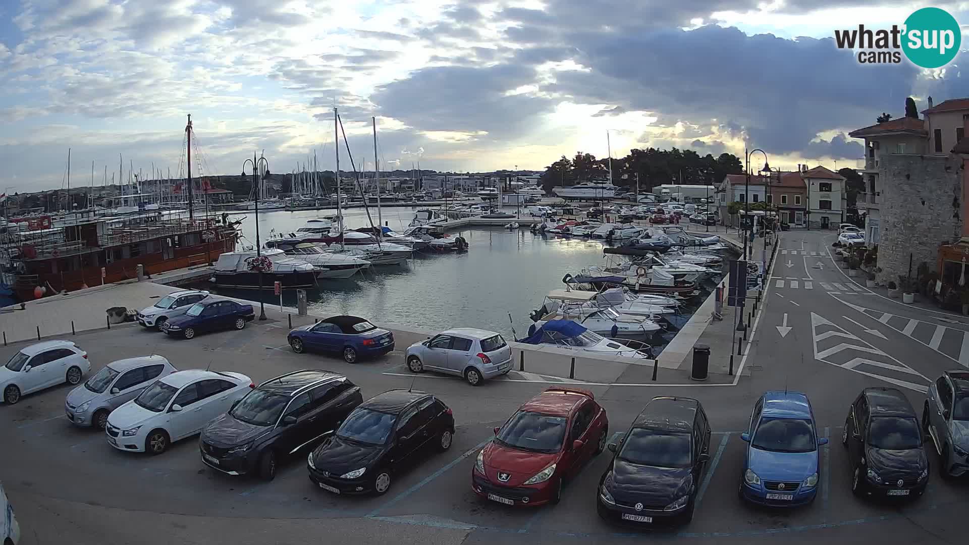 Novigrad | Porporela marina