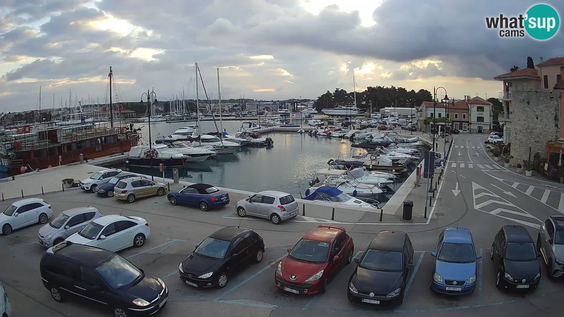 Novigrad | Porporela marina