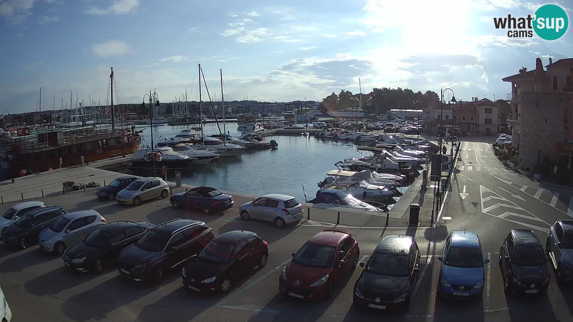 Novigrad | Porporela marina
