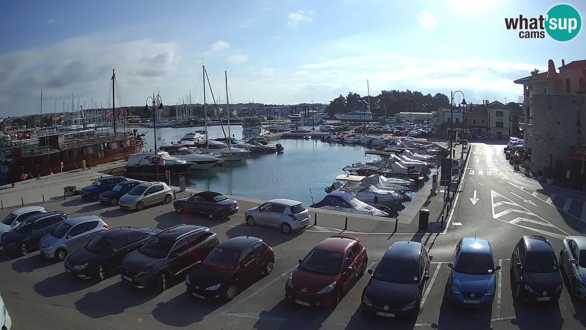 Novigrad | Porporela marina