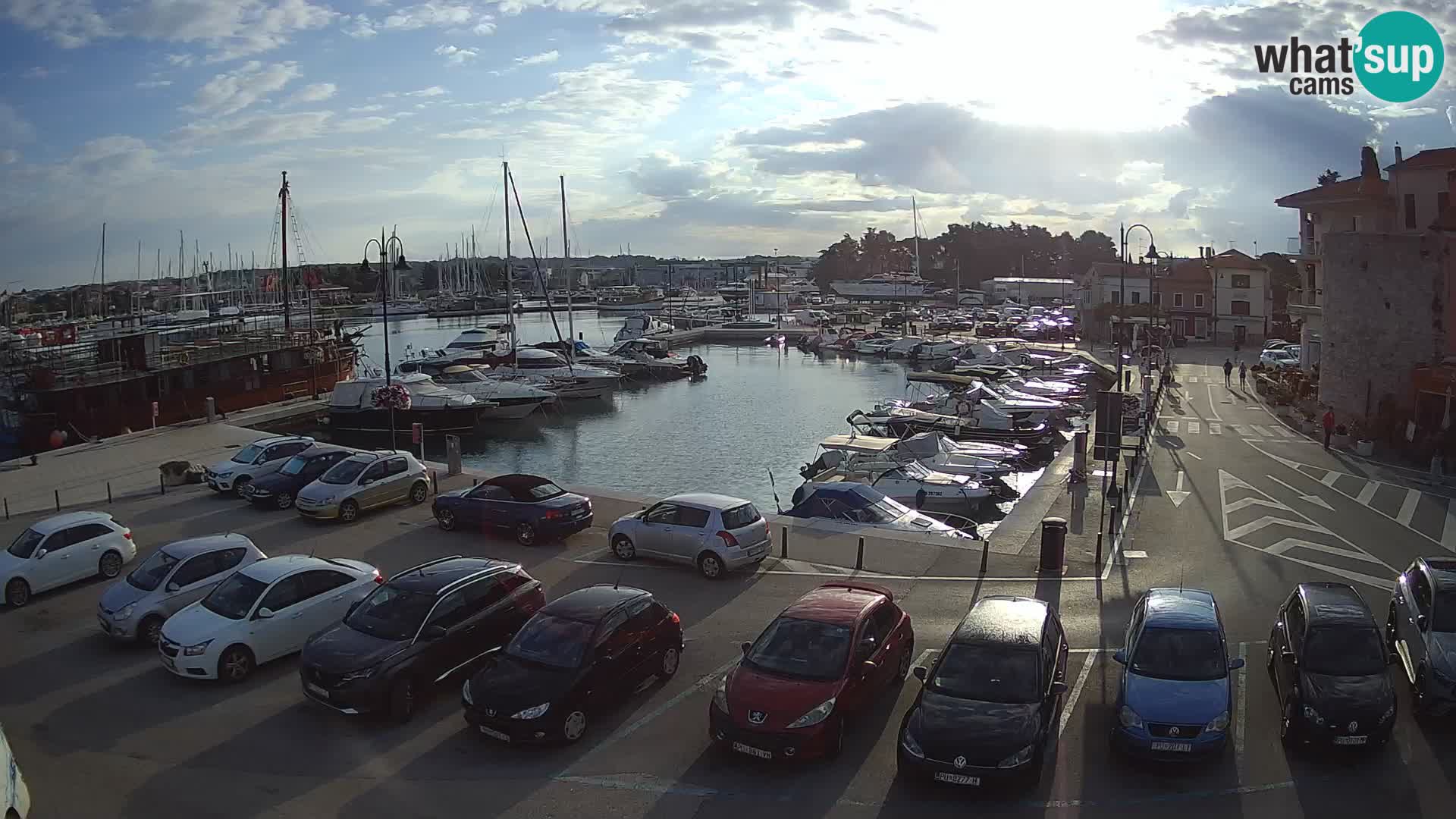 Novigrad | Porporela marina