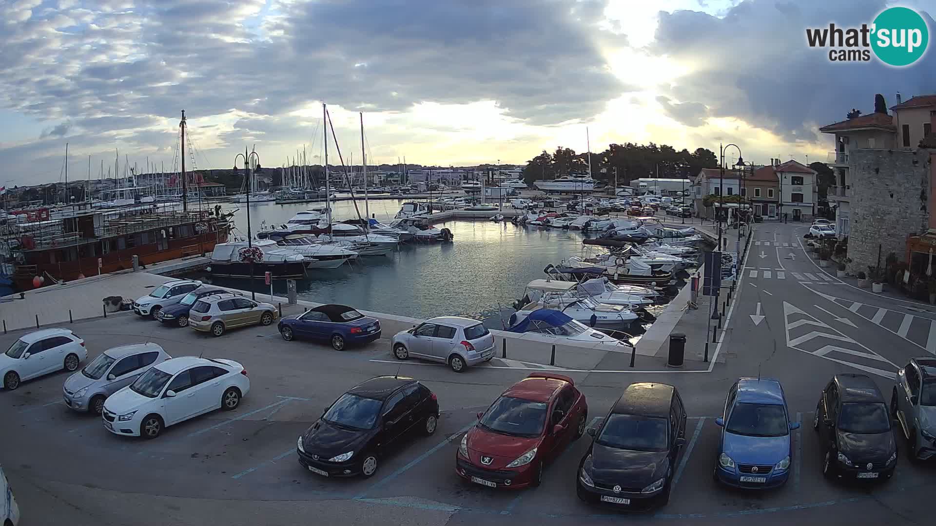 Novigrad | Porporela marina