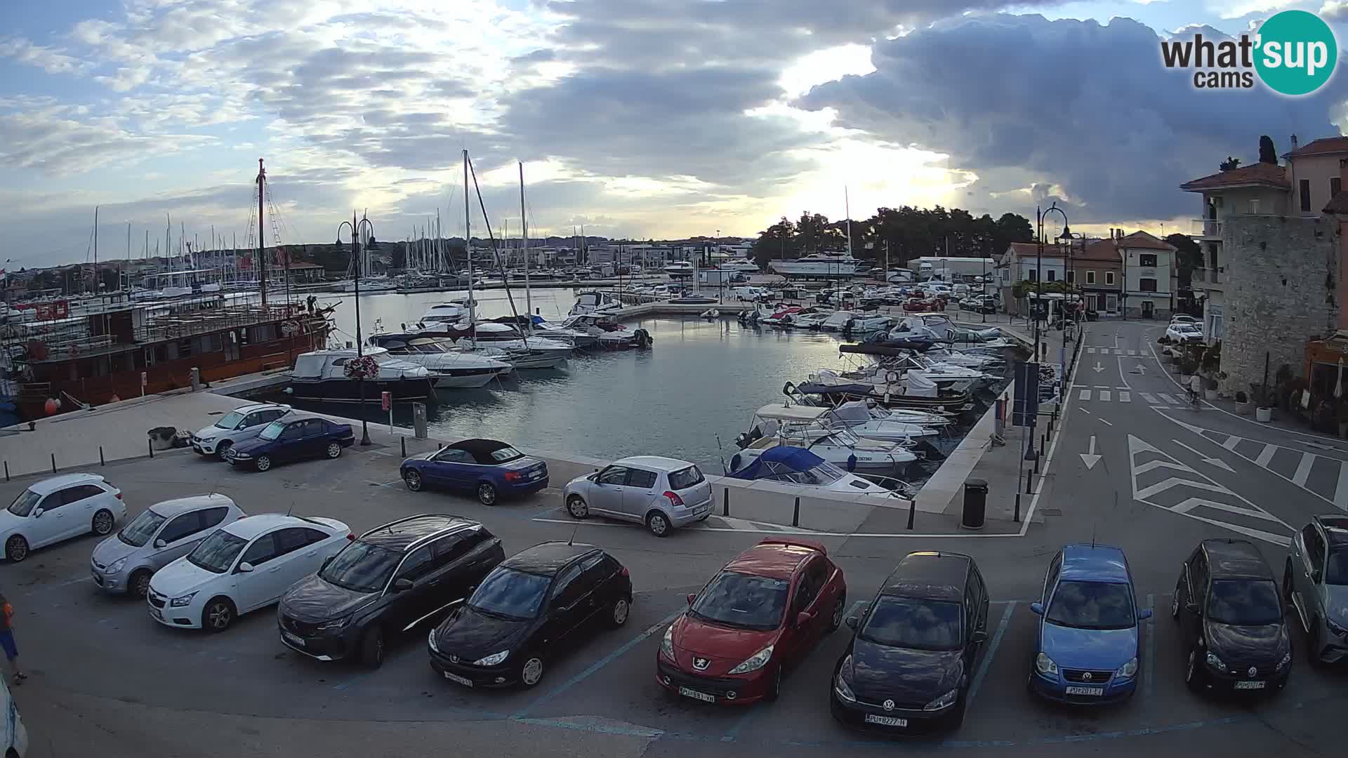 Novigrad | Porporela marina