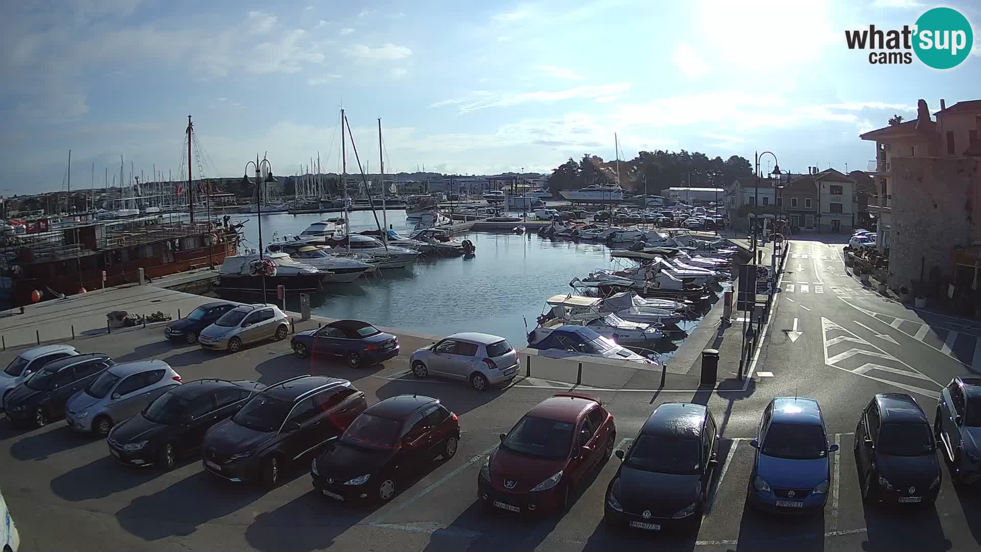 Novigrad | Porporela marina