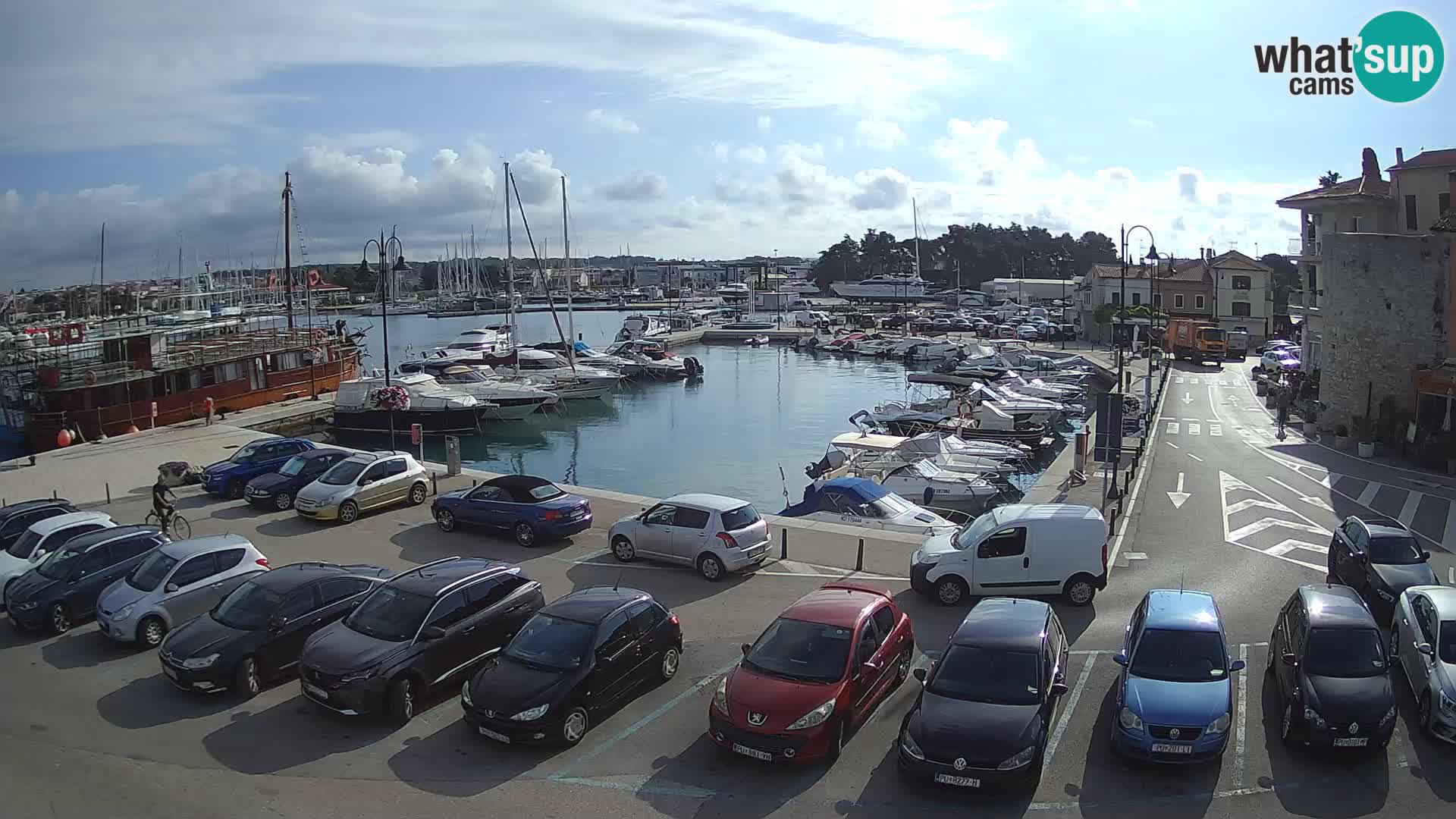 Novigrad | Porporela marina