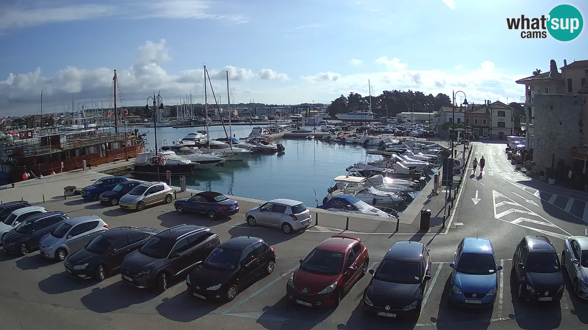 Novigrad | Porporela marina