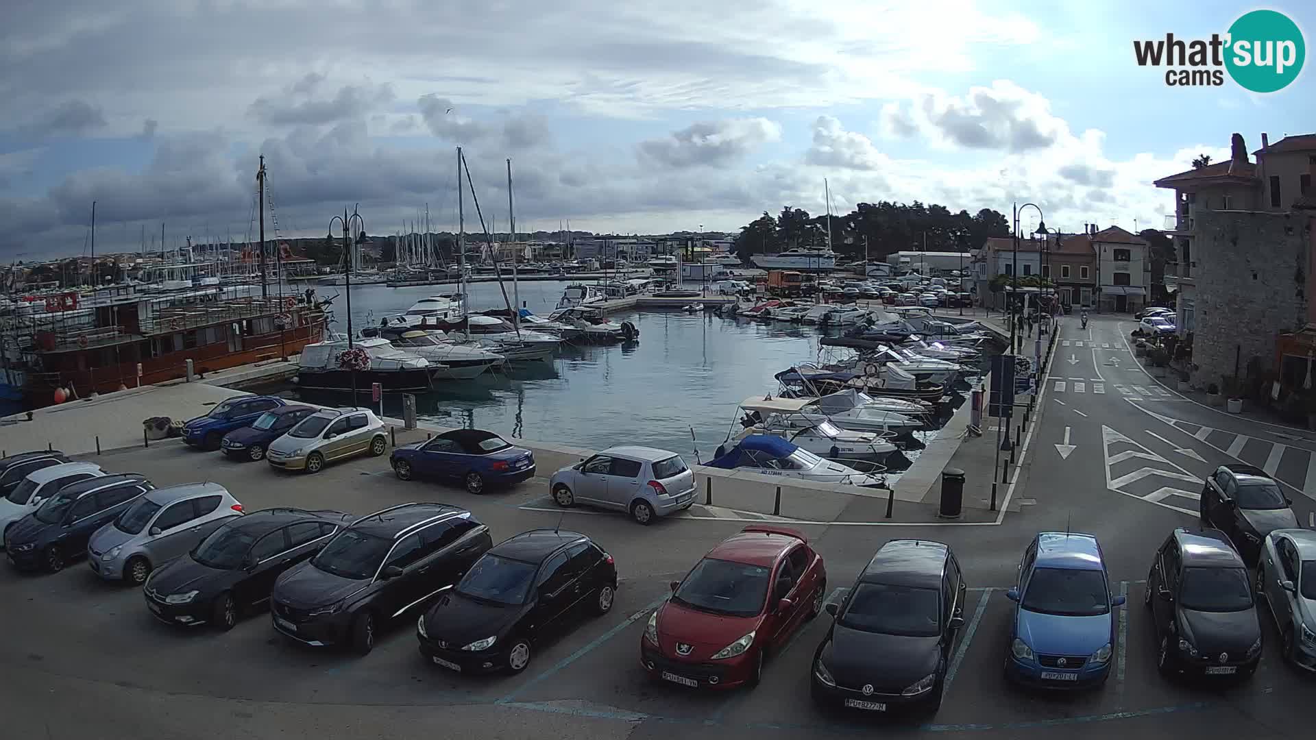 Novigrad | Porporela marina