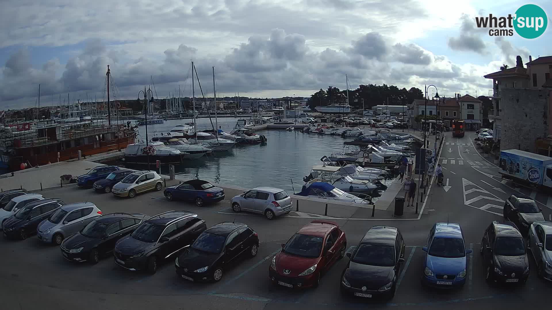 Novigrad | Porporela marina