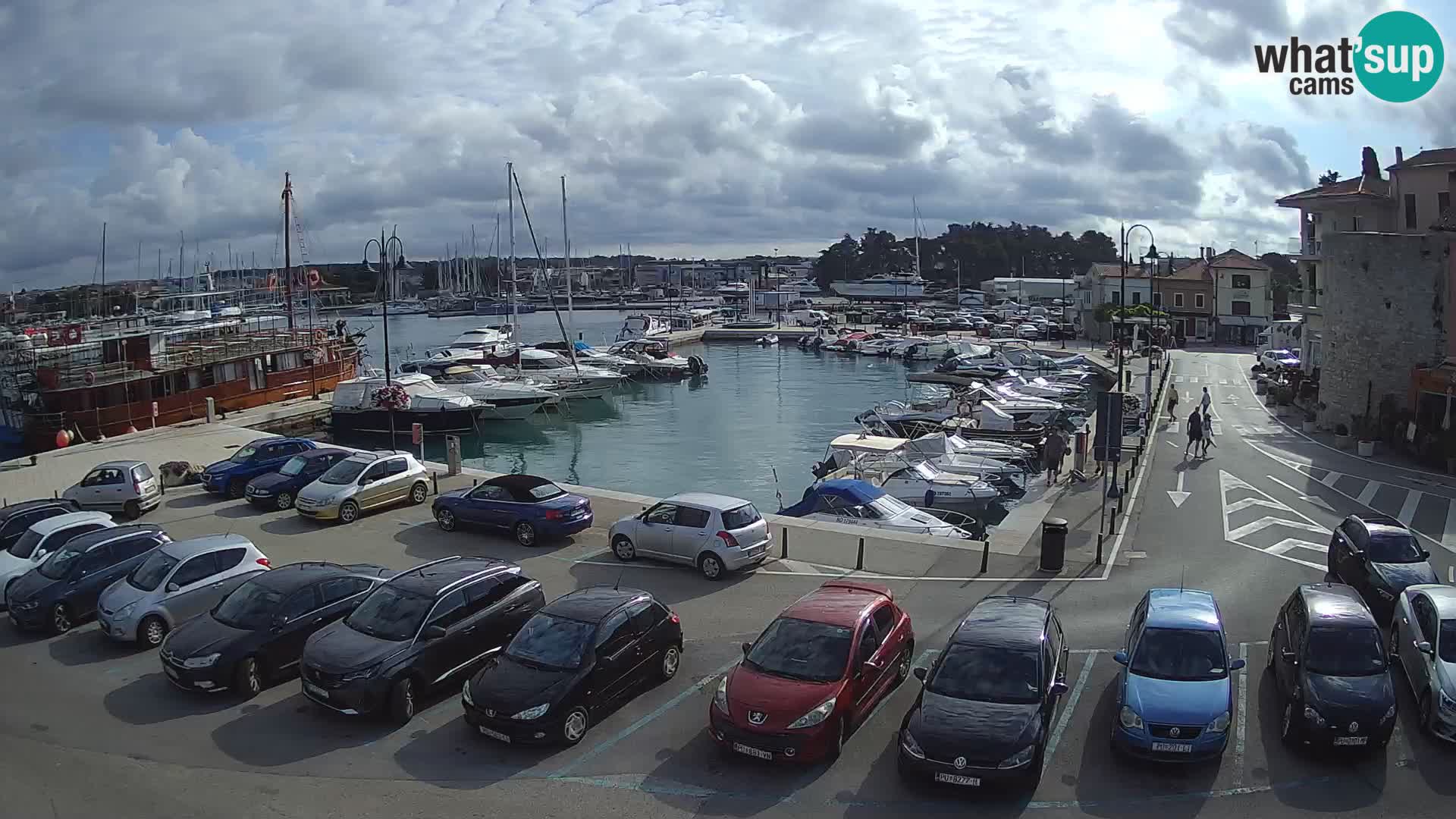 Novigrad | Porporela marina