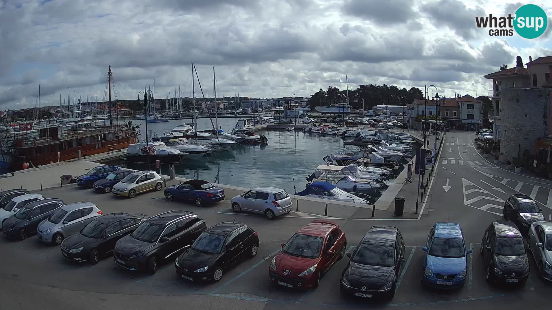 Novigrad | Porporela marina