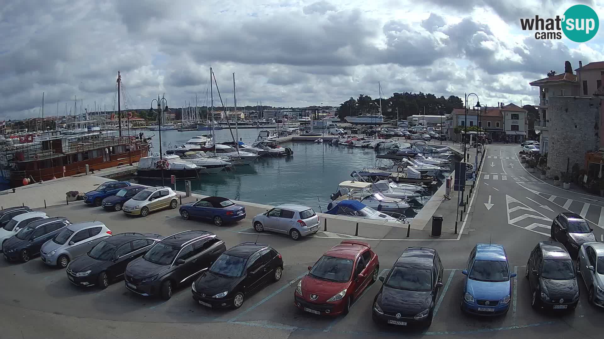 Novigrad | Porporela marina