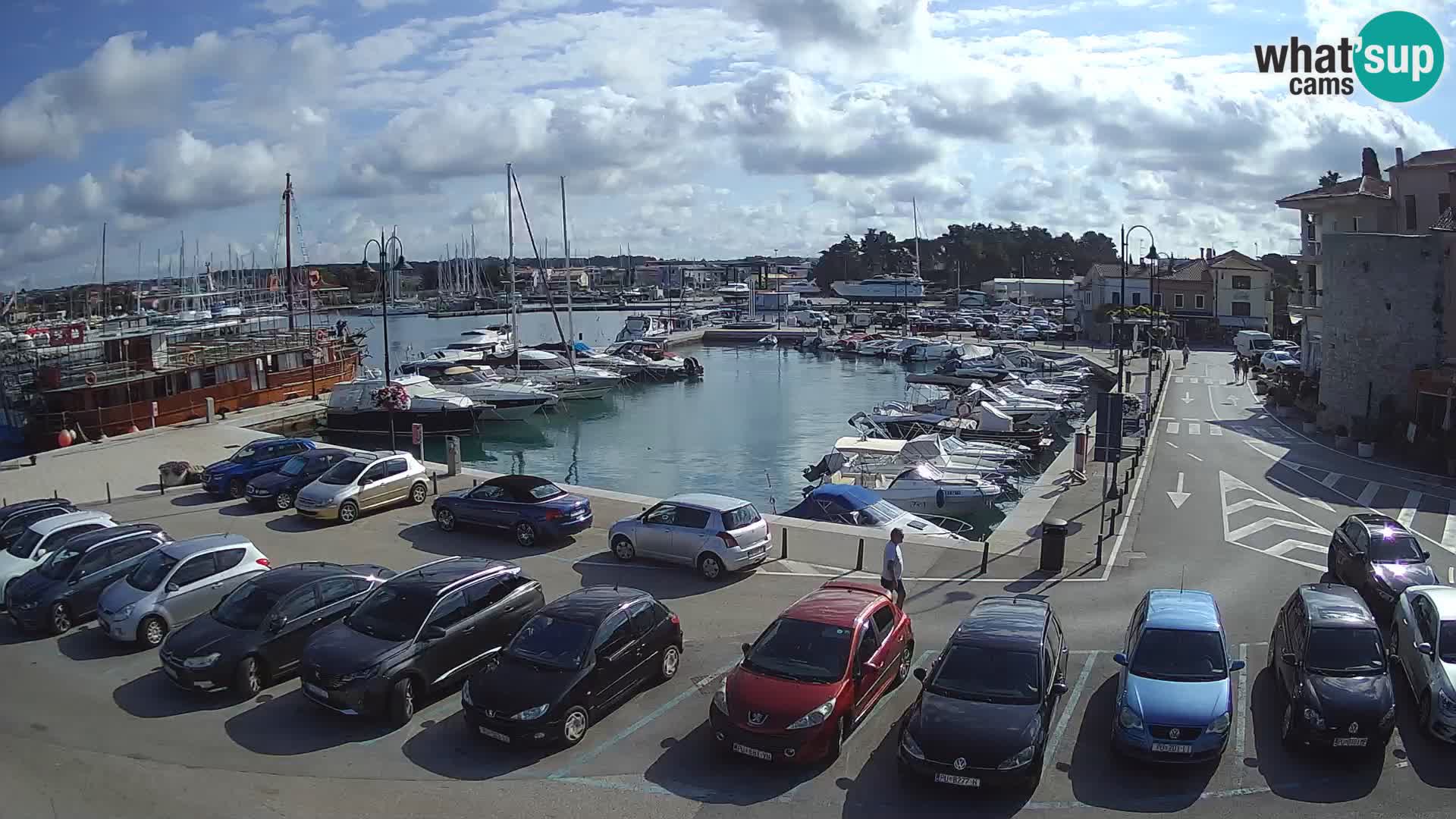 Novigrad | Porporela marina